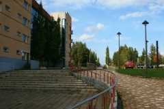 marjala
